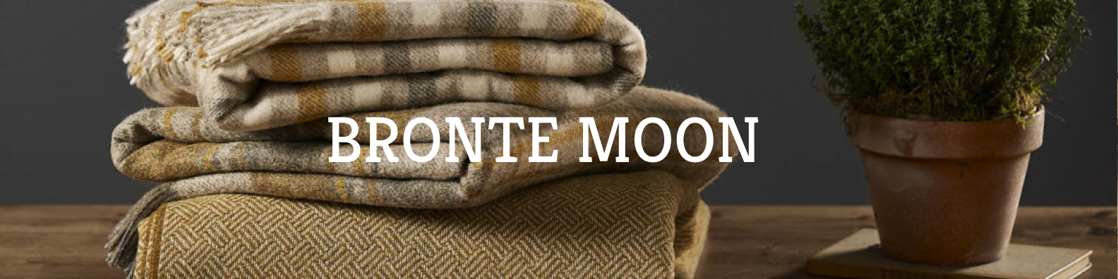 Bronte Moon